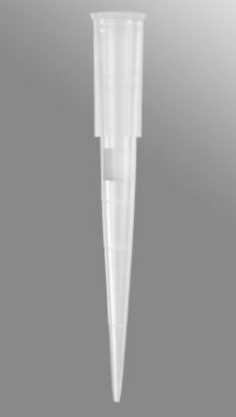 Picture of Axygen 100uL Maxymum Recovery Universal Fit Filter Tips,Clear,Sterile,Rack Pack,96 Tips/Rack,10 Racks/Pack,5 Packs/Case.