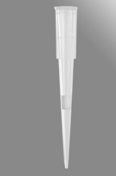 Picture of Axygen 20uL Maxymum Recovery Universal Fit Filter Tips Racked, Clear, Sterile, Rack Pack