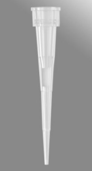 Picture of Axygen 10uL Maxymum Recovery Gilson-StyleP2/P10FilterTips,Clear,Sterile,RackPack,96 Tips/Rack,10 Racks/Pack,5 Packs/Case.