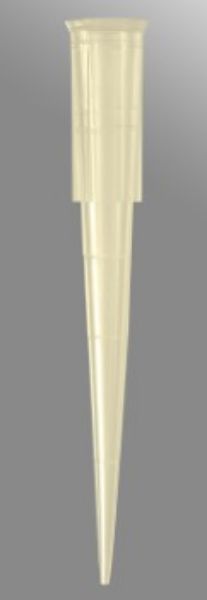 Picture of Axygen 200uL Universal Fit Pipet Tips, Bevelled, Graduated, Hinged Racks, Yellow, 96 Tips/Rack, 10 Racks/Pack, 5 Packs/Case.