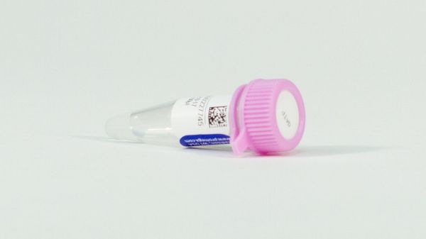 Picture of Set of dATP, dCTP, dGTP, dTTP - 40umol