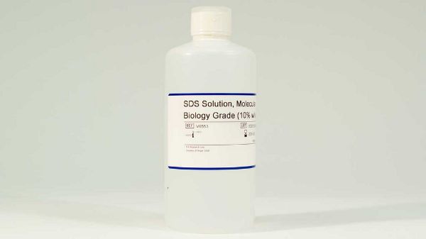Picture of SDS Solution (10% w/v) - 500ml