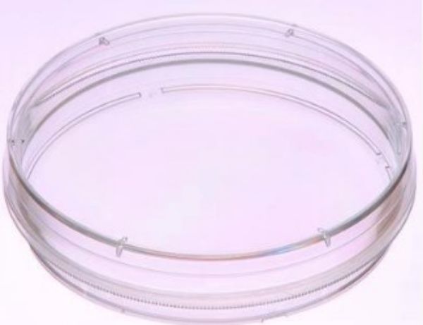 Picture of Dish TC 100mm, gripping ring gamma sterile