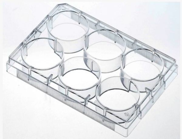Picture of Plate TC 6 wells gamma sterile