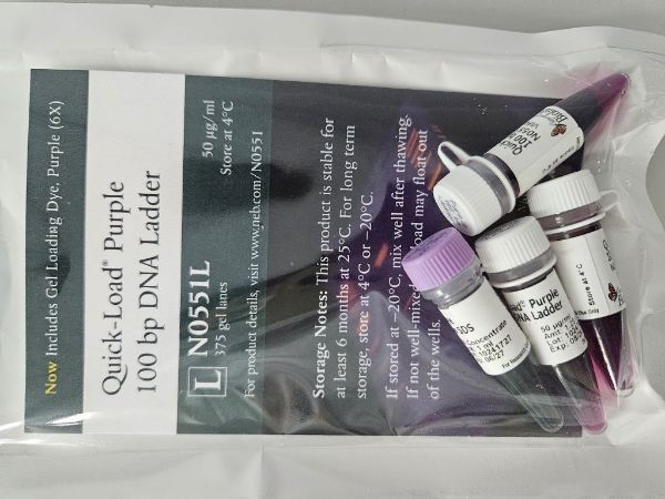 Picture of (L) Quick-Load Purple 100 bp DNA Ladder