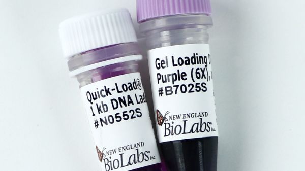 Picture of (L) Quick-Load Purple 1 kb DNA Ladder 