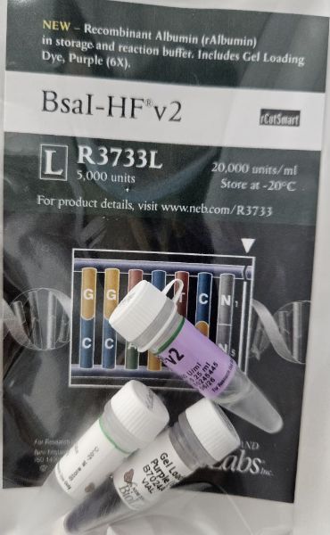 Picture of (L) BsaI-HF v2