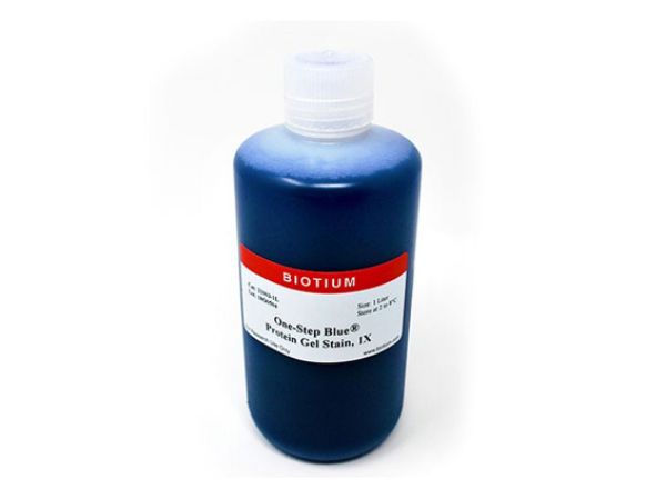 Picture of One-Step Blue Protein Gel Stain, 1X