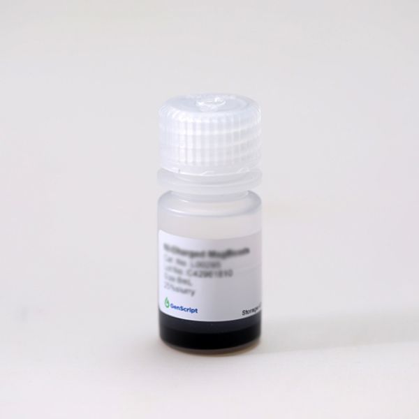 Picture of Ni-charged MagBeads