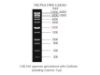 Picture of BM211-01 1Kb Plus DNA Ladder (500ul)