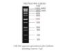 Picture of BM21101 1Kb Plus DNA Ladder (500ul)