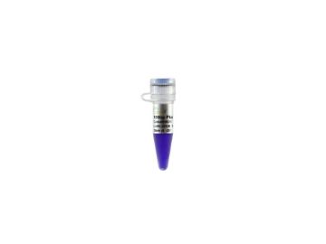 Picture of BM31101 100bp Plus DNA Ladder (500ul)