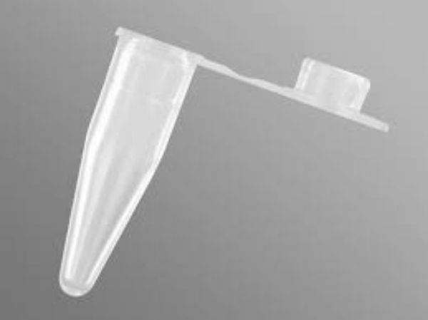 Picture of Axygen 0.2 mL Thin Wall PCR Tubes with Flat Cap, Clear, Nonsterile