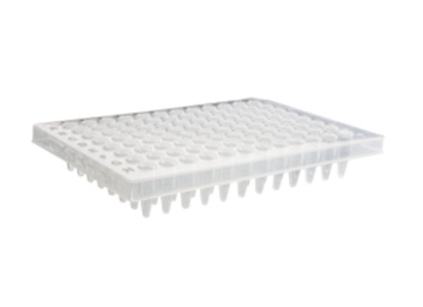 Picture of 96-well PCR Plate, semi-skirted (0.2ml/well)