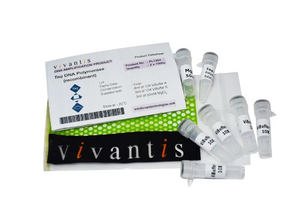Picture of Taq DNA Polymerase (5u/ul), 2x1000 units
