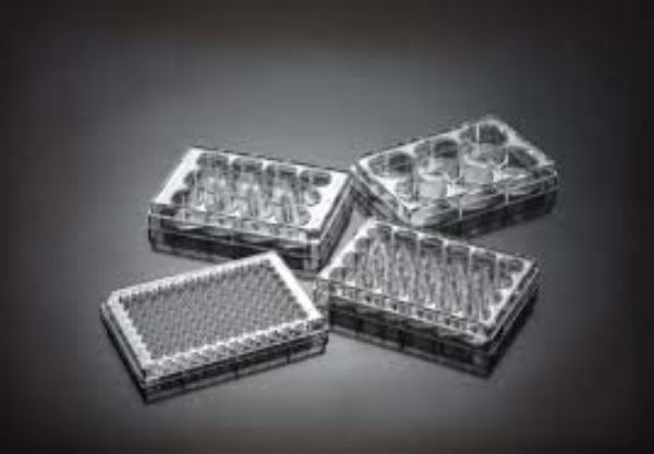 6-WELL TC PLATES,TC TREATED,CLEAR,FLAT BOTTOM,STERILE,50PCS/CASE