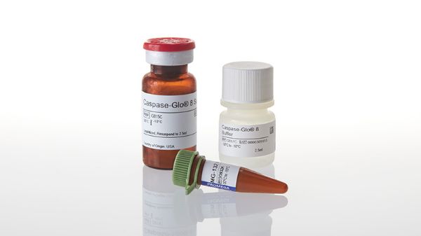 Picture of Caspase-Glo 8 Assay, 10ml