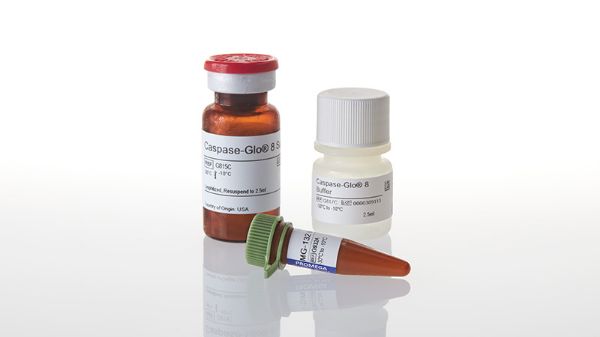 Picture of Caspase-Glo 9 Assay, 10ml