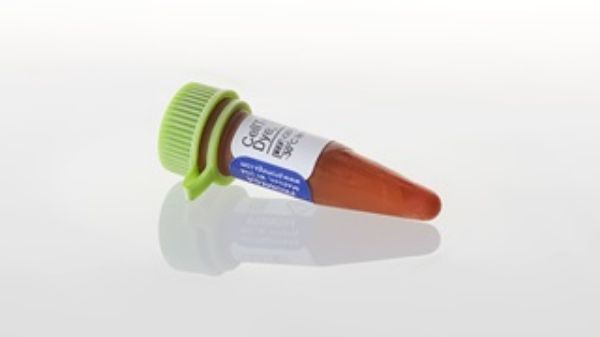 Picture of CellTox Green Cytotoxicity Assay, 10 ml