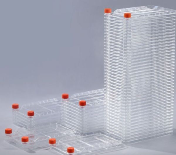 Picture of Cell Factory TC treated 10 layer Sealed Cap