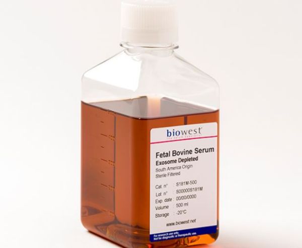 Picture of Exosome depleted FBS