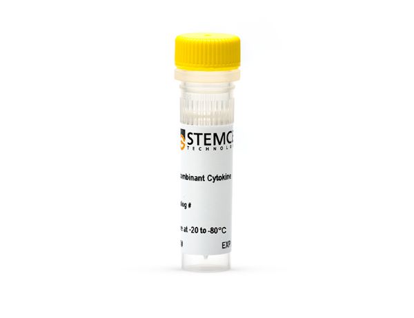 Picture of Human/Mouse Recombinant Activin A