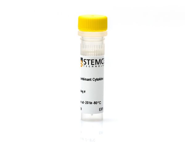 Picture of Human Recombinant BDNF