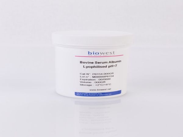 Picture of Bovine Serum Albumin,100gr