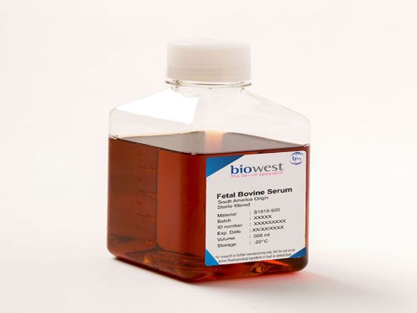 Picture of Fetal Bovine Serum, 500ml