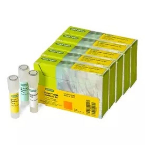 Picture of iScript cDNA Synthesis Kit, 500 x 20 ul rxns 1708891BUN