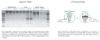 Picture of Quick-DNA Miniprep Plus Kit, 200 Preps