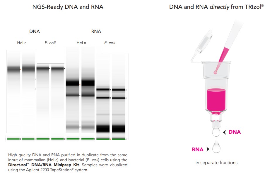 RSC eStore. Directzol DNA/RNA MiniPrep Kit