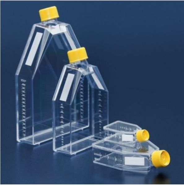 Picture of Tissue culture flask 75 cm^2/ vent screw cap(100)