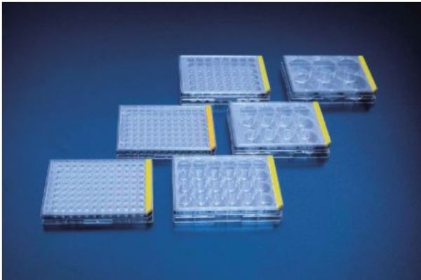 Picture of TPP Tissue culture test plate, 6 wells