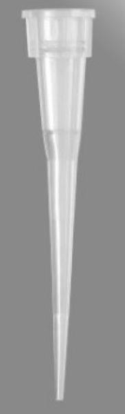 Picture of Axygen 10uL Pipet Tips, Non-Filtered, Clear, Nonsterile, Bulk Pack, 1000 Tips/Pack, 20 Packs/Case.