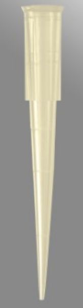 Picture of Axygen 200uL Bagged Universal Fit Pipet Tips, Bevelled, Graduated, Yellow, Bulk Pack, 1000 Tips/Pack, 20 Packs/Case.