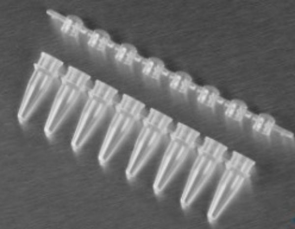 Picture of Axygen 0.2 mL Polypropylene PCR Tube Strips and Domed Cap Strips, 8 Tubes/Strip, 8 Domed Caps/Strip, Clear, Nonsterile