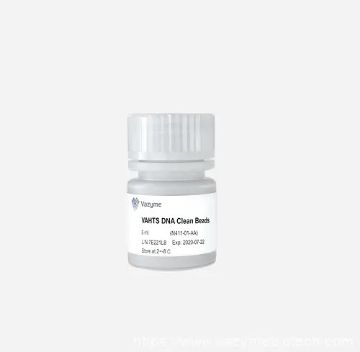 Picture of 5ml VAHTS DNA Clean Beads