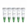 Picture of 2 x 50ml Rapid Taq Master Mix