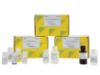 Picture of DNA Clean and Concentrator-5, Uncapped