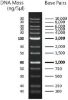 Picture of 1kb Wide Range DNA Marker PLUS (100bp – 10kb), Ready-to-use