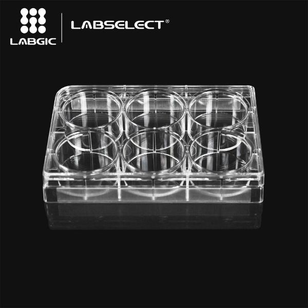 Picture of Labselect - (2mL) Plate, 6-Well, TC-Treated, Polystyrene, F-Bottom, Sterile, Clear