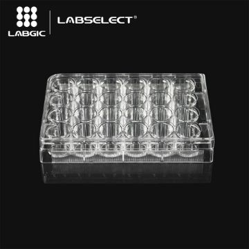 Picture of Labselect - (3.6mL) Plate, 24-Well, Not-Treated, Polystyrene, F-Bottom, Sterile, Clear