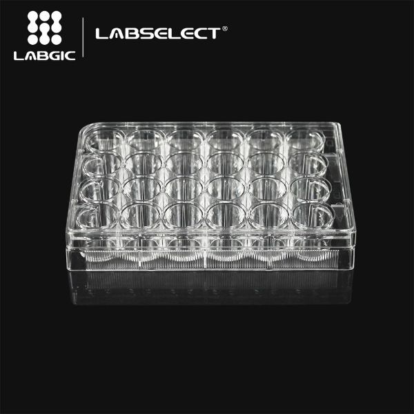 Picture of Labselect - (3.6mL) Plate, 24-Well, Not-Treated, Polystyrene, F-Bottom, Sterile, Clear