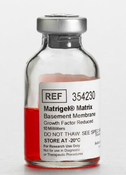 Picture of Corning Matrigel Growth Factor Reduced (GFR) Basement Membrane Matrix, LDEV-Free, 10mL