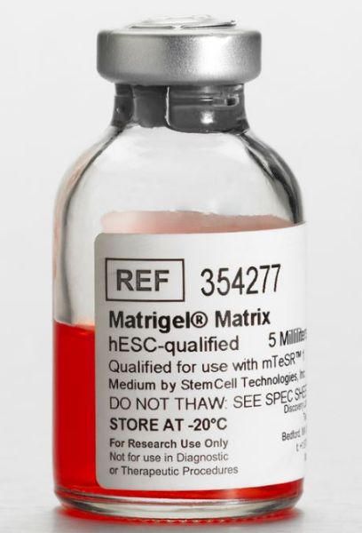 Picture of Corning Matrigel hESC-Qualified Matrix, LDEV-Free, 5mL