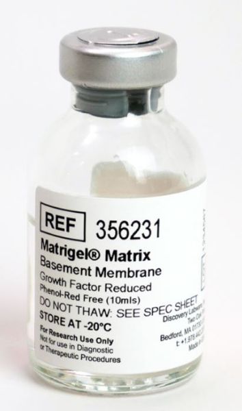 Picture of Corning Matrigel Growth Factor Reduced (GFR) Basement Membrane Matrix, Phenol Red-Free, LDEV-Free, 10mL