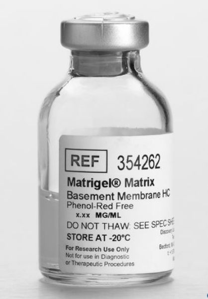 Picture of Corning Matrigel Matrix High Concentration (HC), Phenol-Red Free, LDEV-Free, 10mL