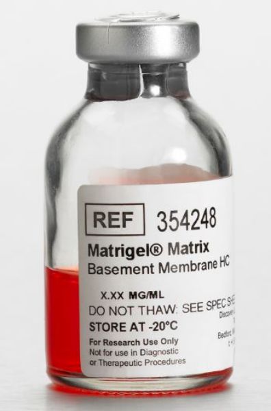 Picture of Corning Matrigel Basement Membrane Matrix High Concentration (HC), LDEV-Free, 10mL