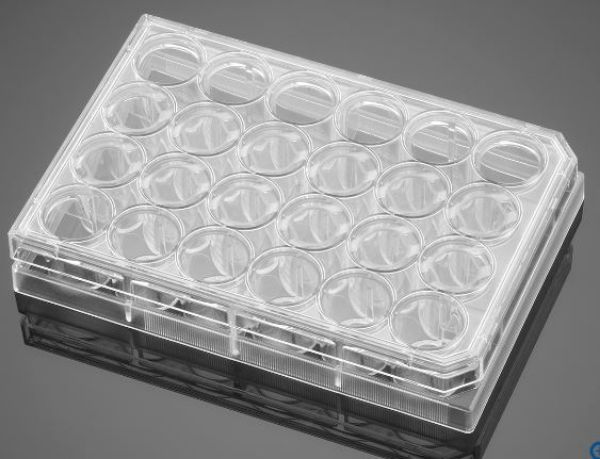 Picture of Corning BioCoat Matrigel Invasion Chambers with 8.0um Pore Polyester (PET) Membrane in two 24 Well Plates, 12/Pack, 24/Case